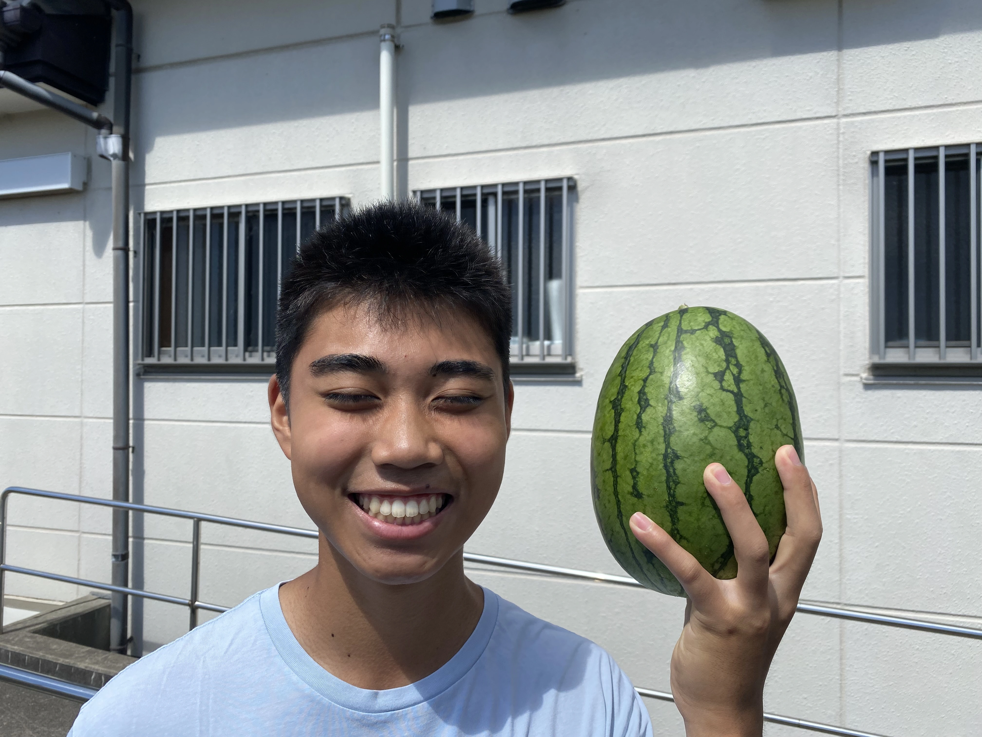 Japan 23