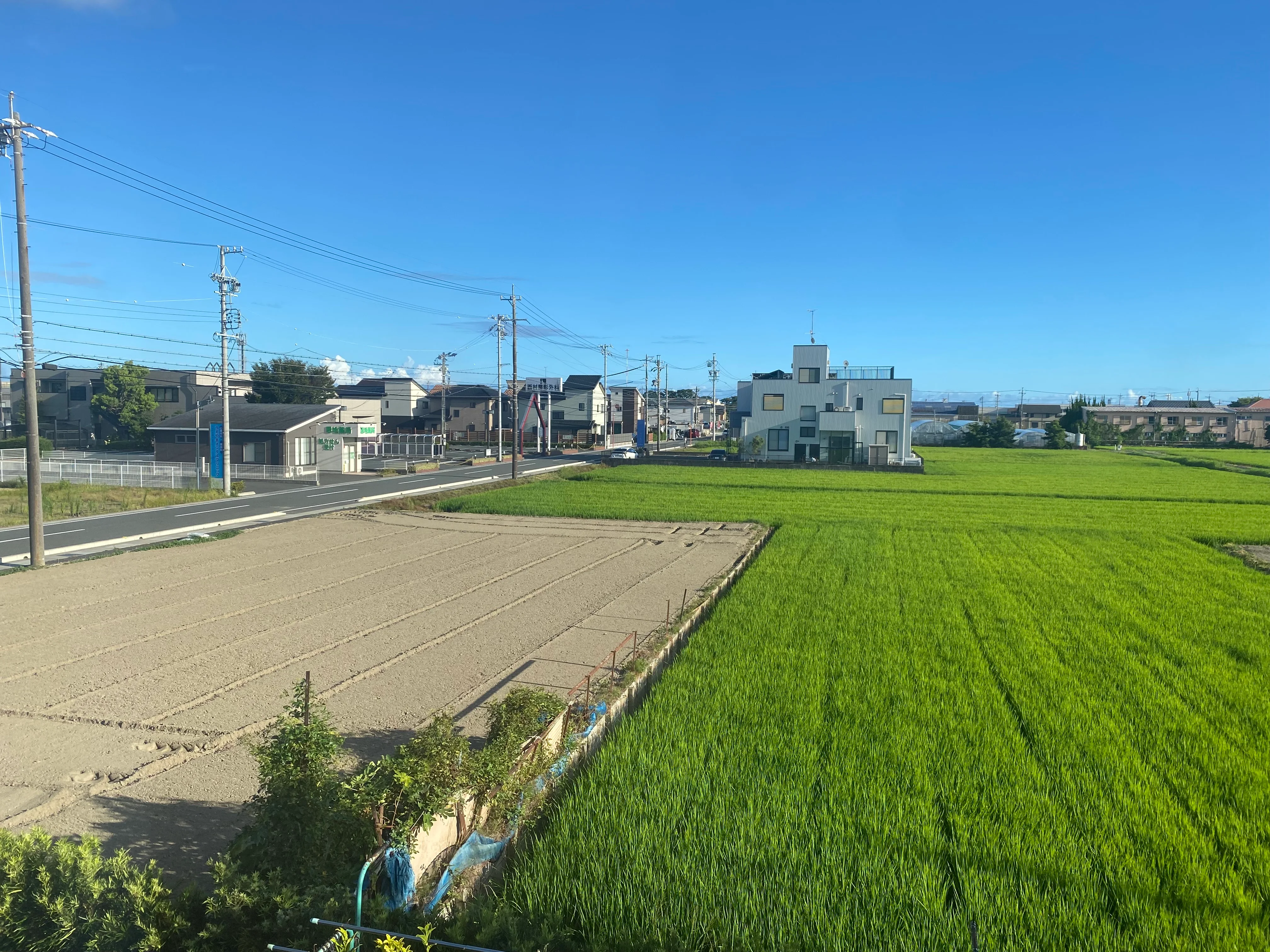 Japan 4